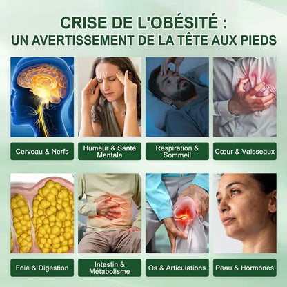 Boutique Officielle | ☀️☀️ 𝐂𝐥𝐞𝐚𝐫𝐞𝐧𝐚® Moringa Berbérine + NAD+ Patch Nano à Microneedles 10-en-1 (Une seule utilisation par jour, des résultats visibles en 7 jours)